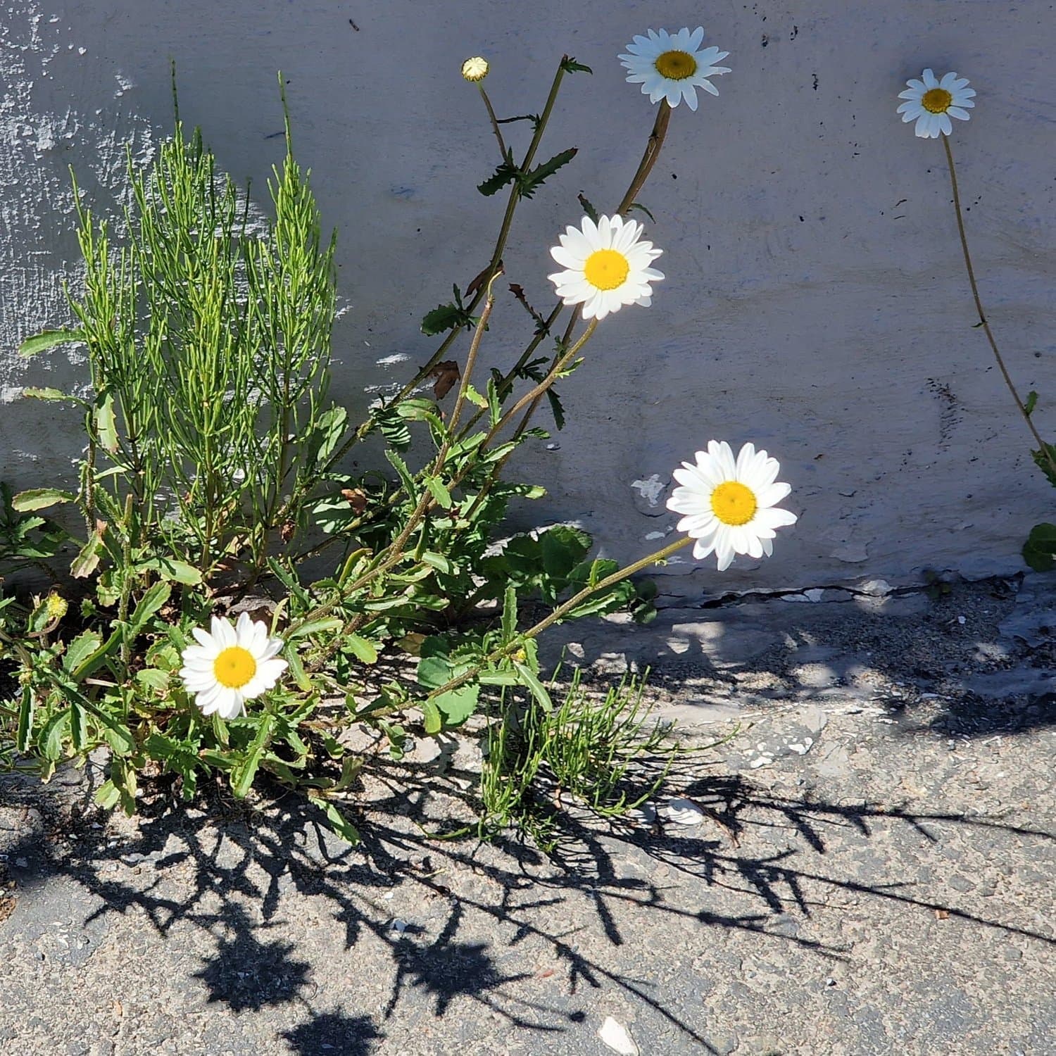 Himmel eller helvete?