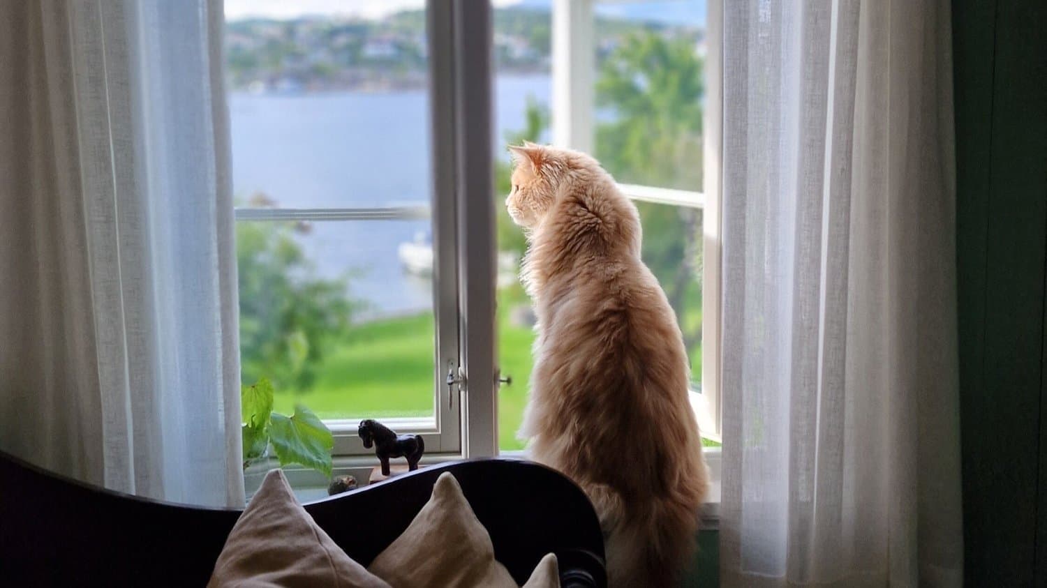 Noen råd for høsten