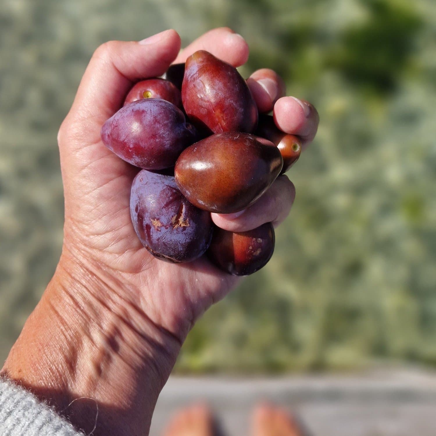 The Delights of Autumn