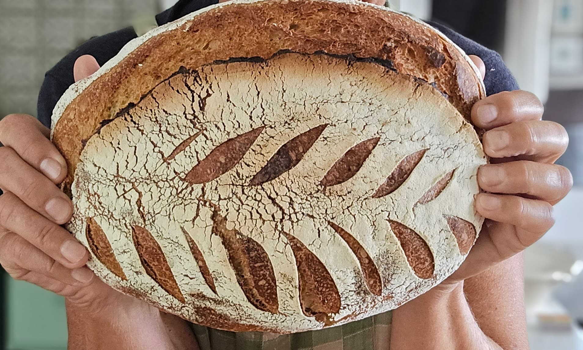 Landbrød og focaccia med surdeig